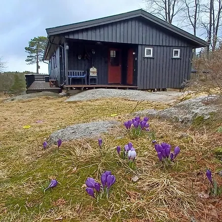 Awesome In With Kitchen *